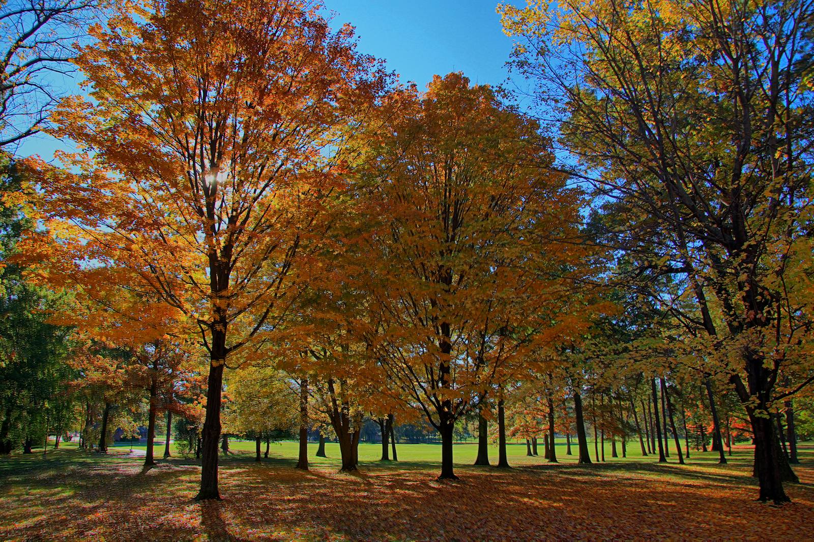 Autumn Colors - HDR<BR>October 18, 2013