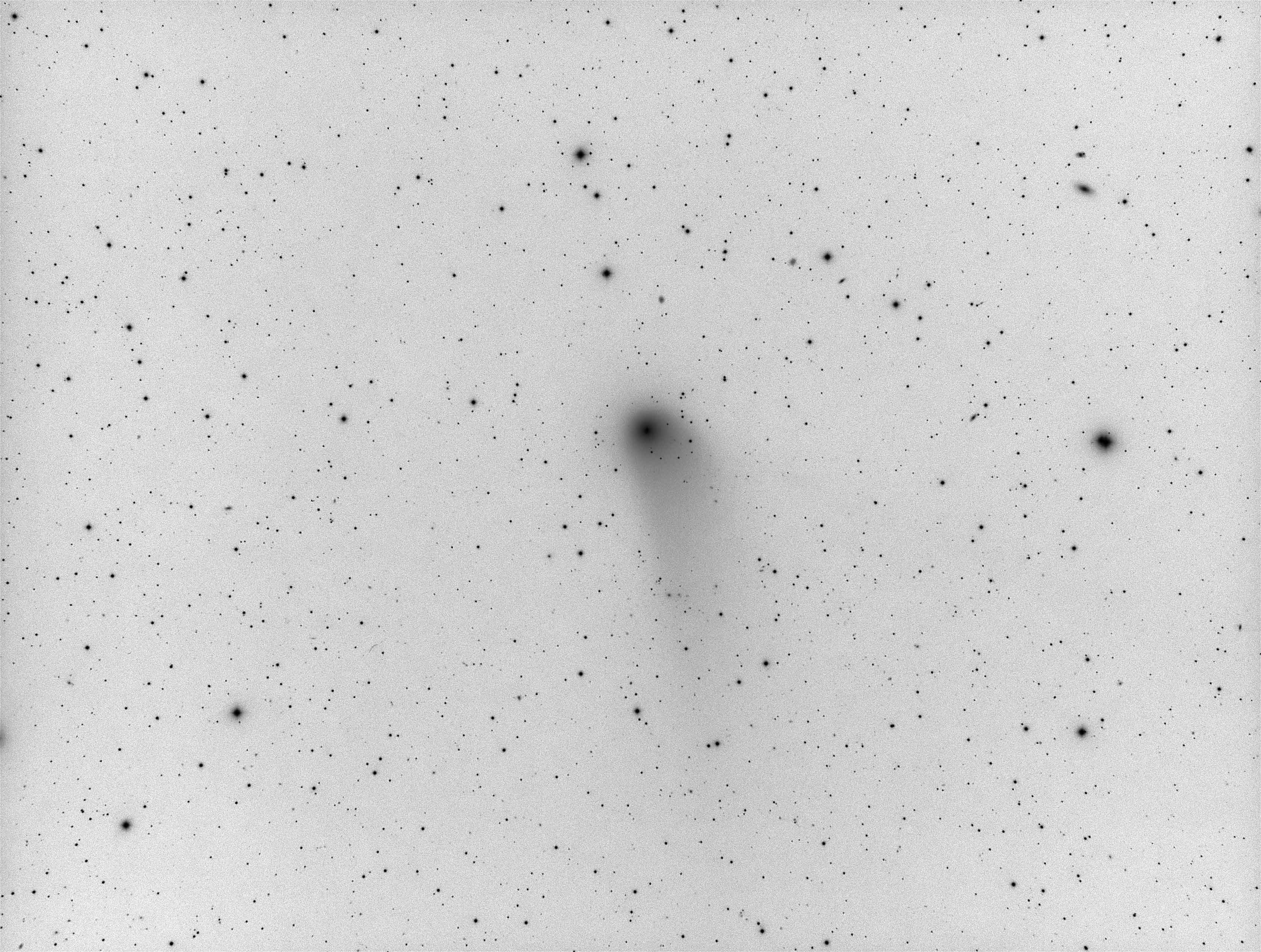 Comet PanStarrs inverted.