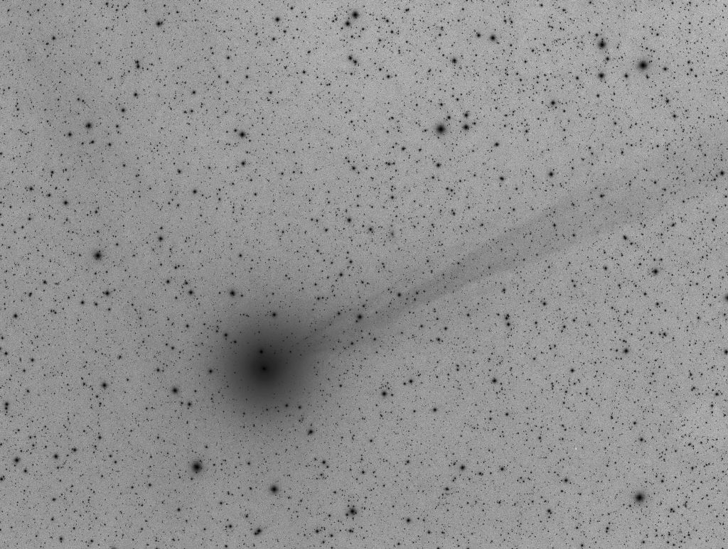 Comet Lovejoy invert.
