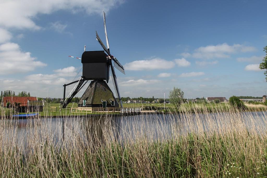 2013-06-04_16_Kinderdijk 