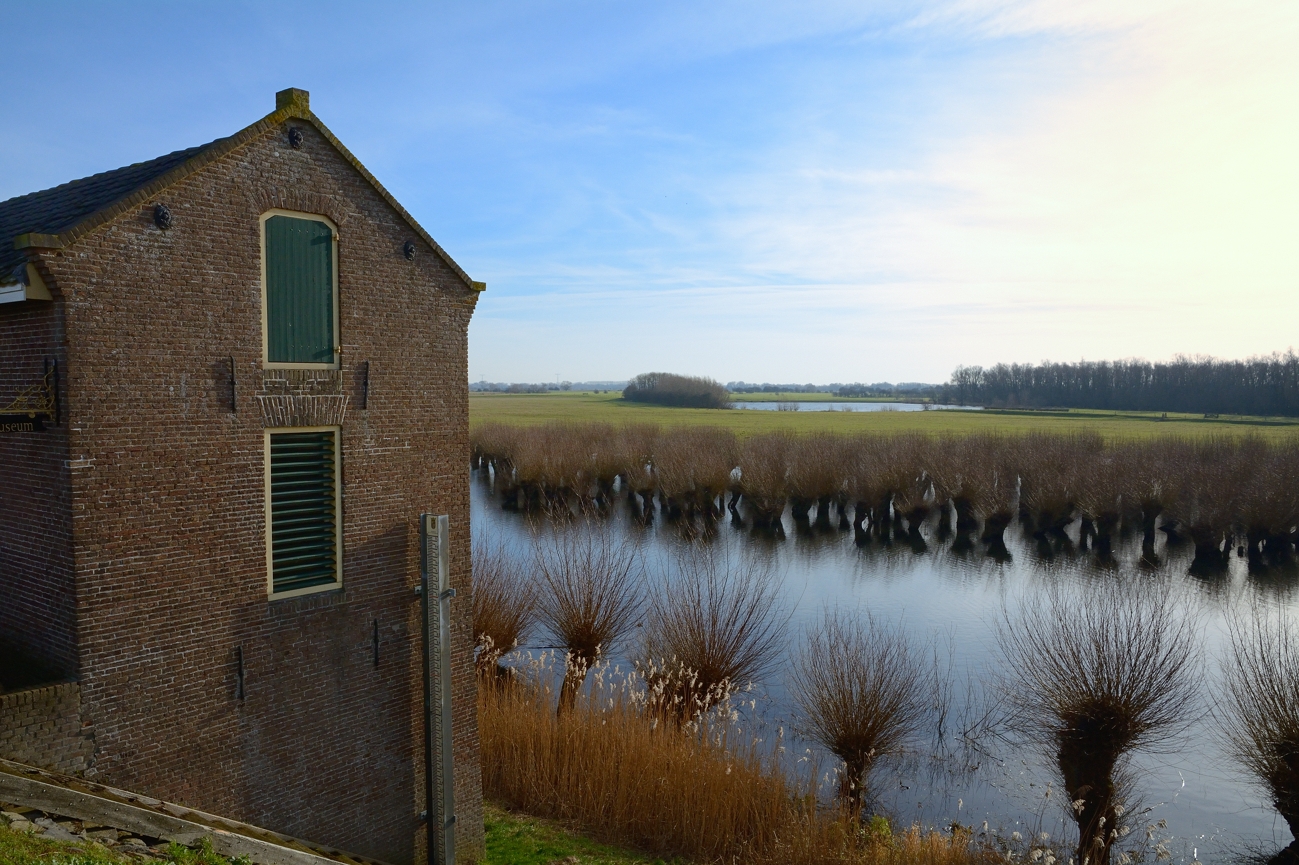 Uiterwaard Waal