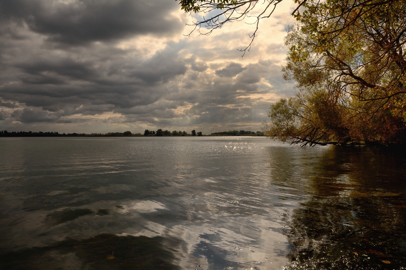 De Biesbosch