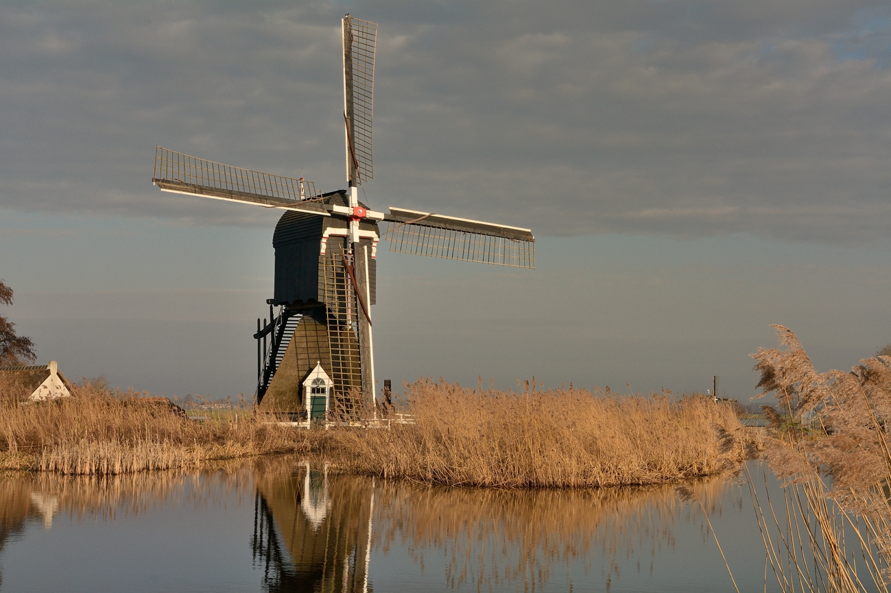 Hoekmolen