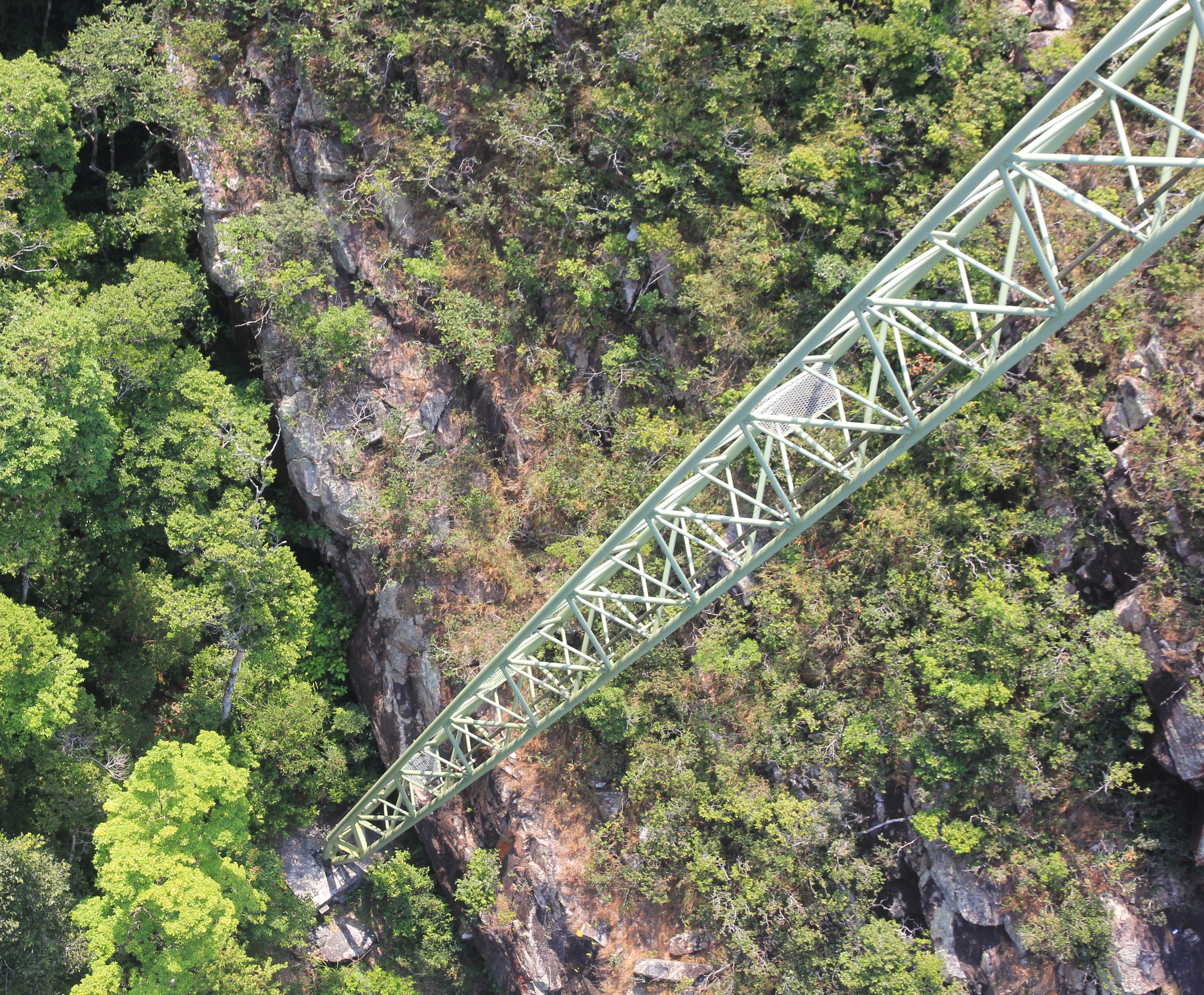 From the Sky Bridge