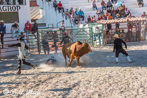 Bull Riding, Cuban Rodeo 12