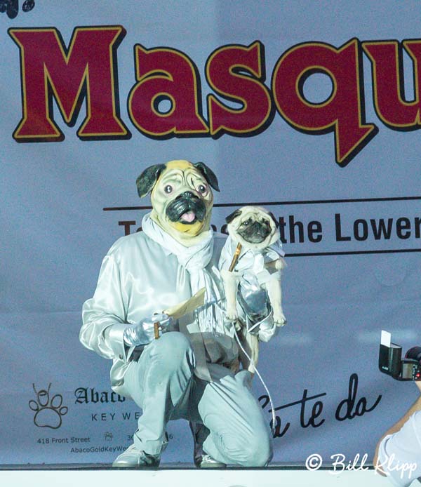 Pet Masquerade, Fantasy Fest  2015  256