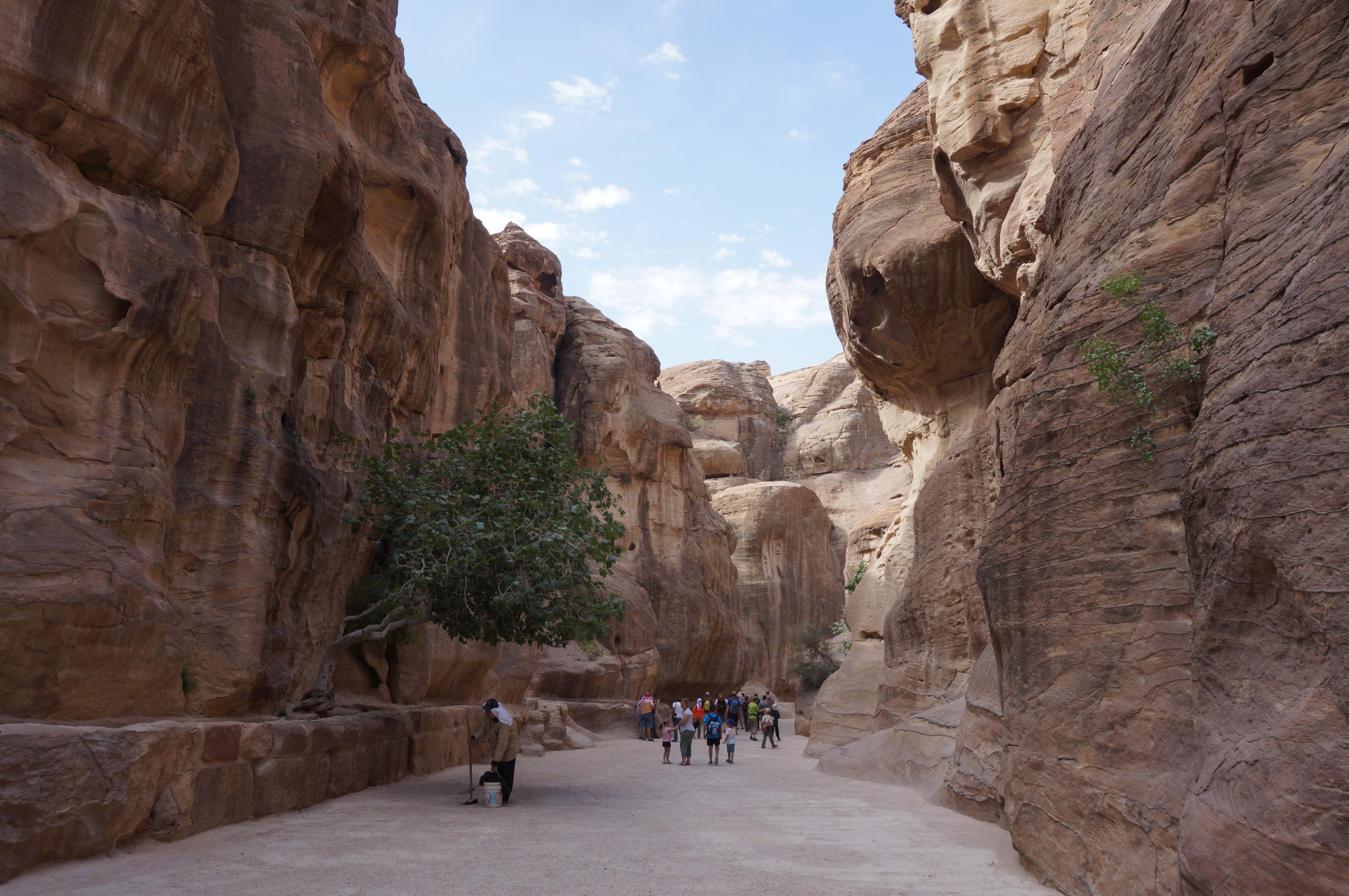Petra