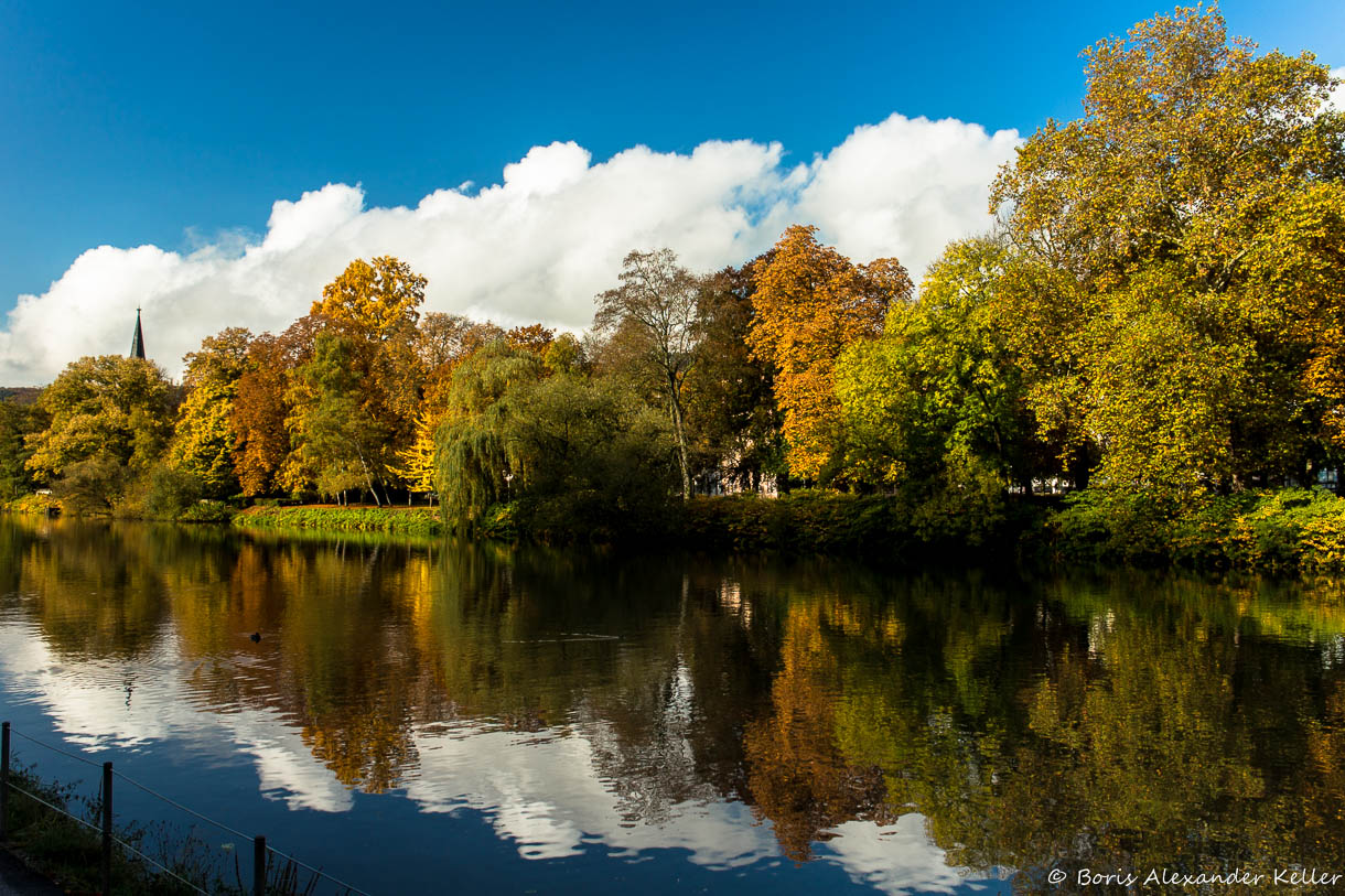 Reflections