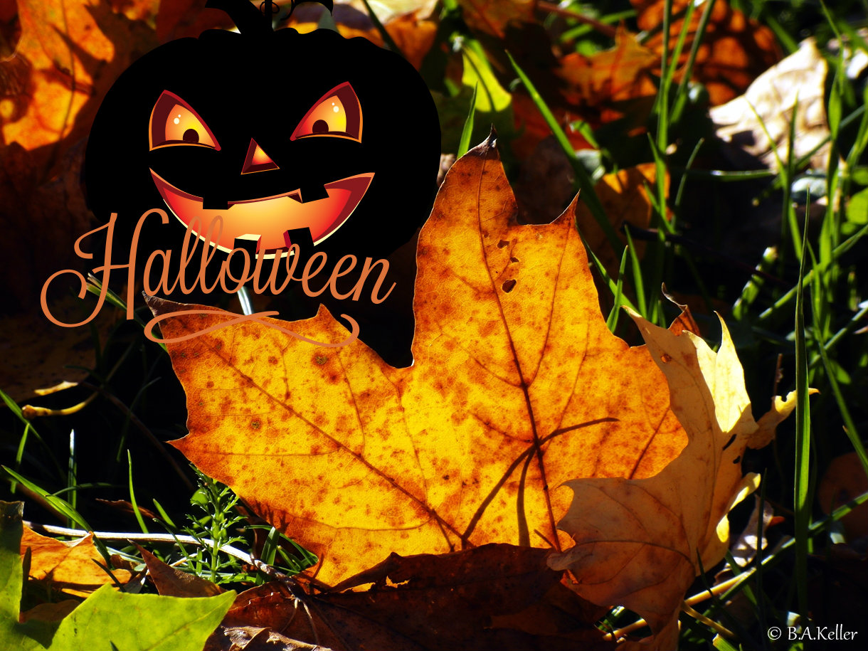 Happy Halloween