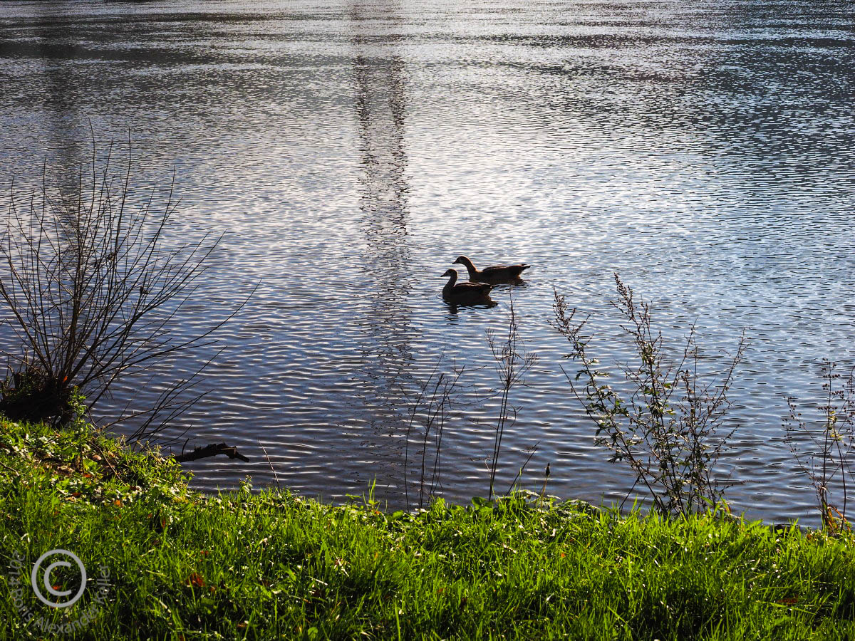 By the river..