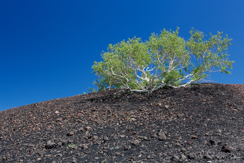 Etna