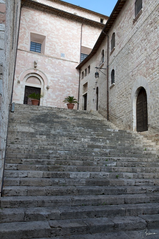 Assisi