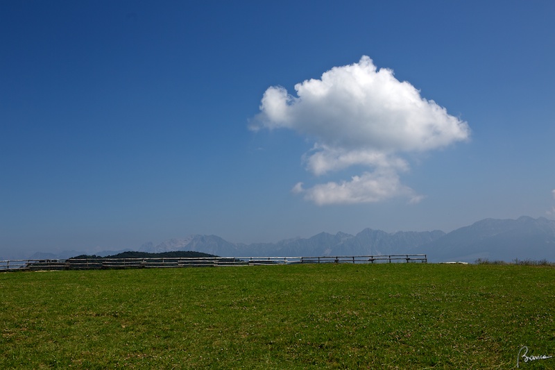 Monte Pizzoc