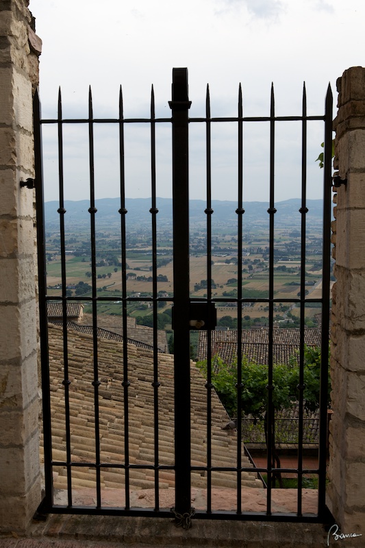 Assisi