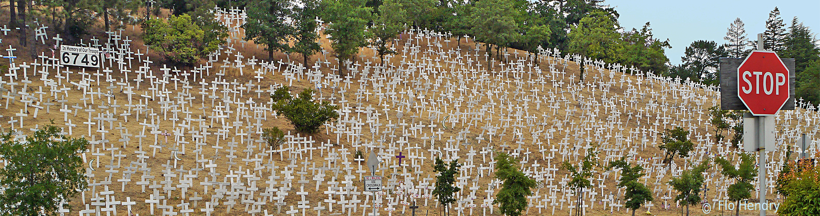 Crosses of Lafayette