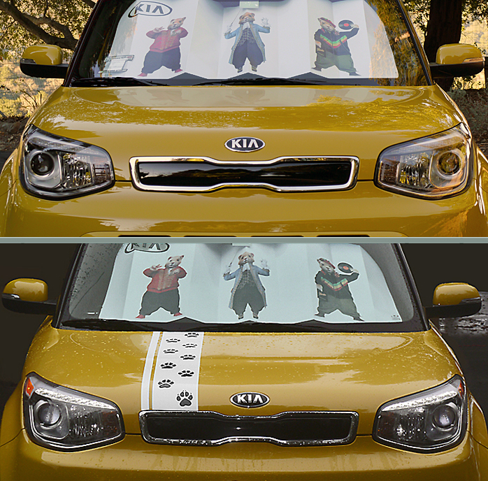 Before & After Rally Stripes - 300 miles