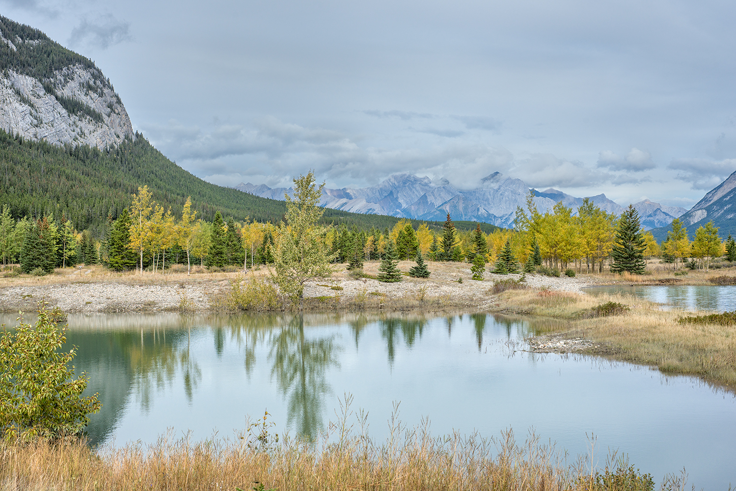 Still Waters Aspens
