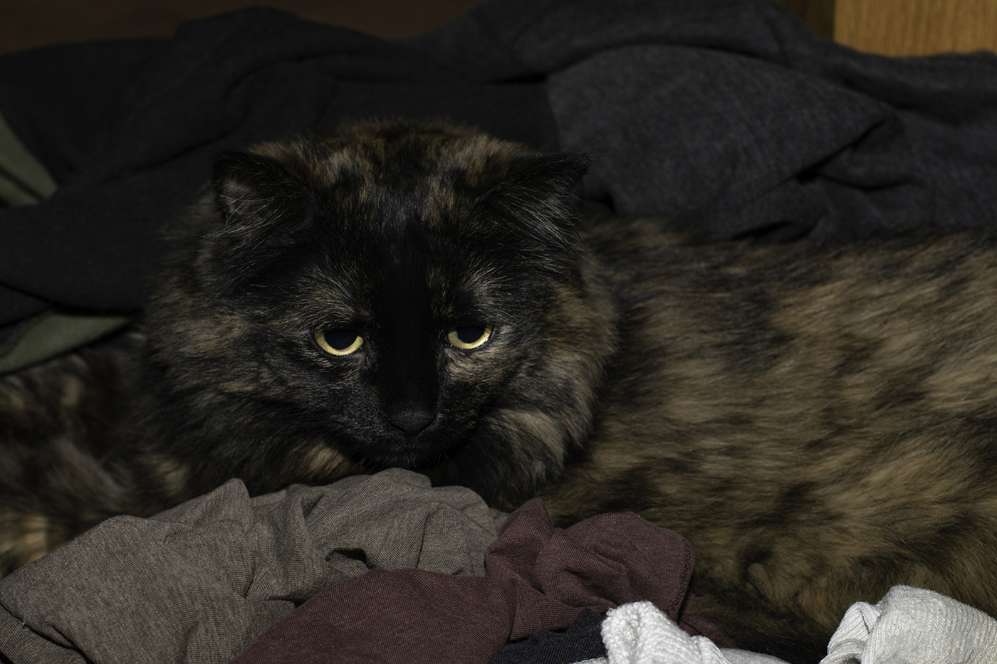 Dirty Laundry