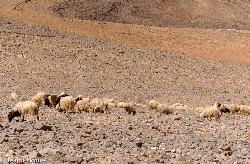 Valle de Souss