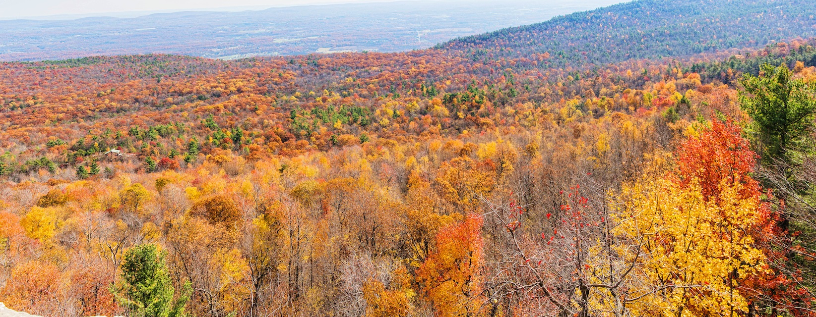 Autum Colors II