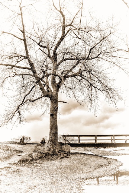 Landscape in Portrait Orientation
