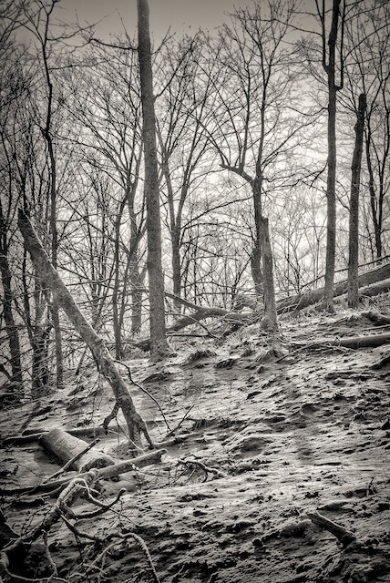 Dewey Mt. 4