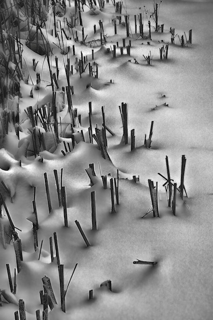 desaturated snow