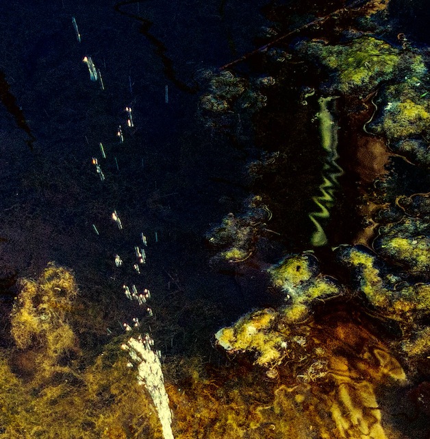 pond fountain