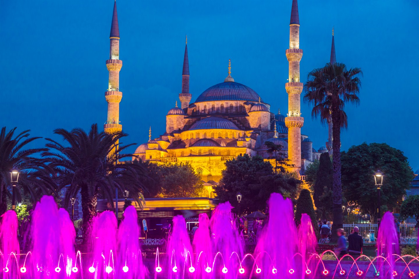 Blue Mosque at Blue Hour