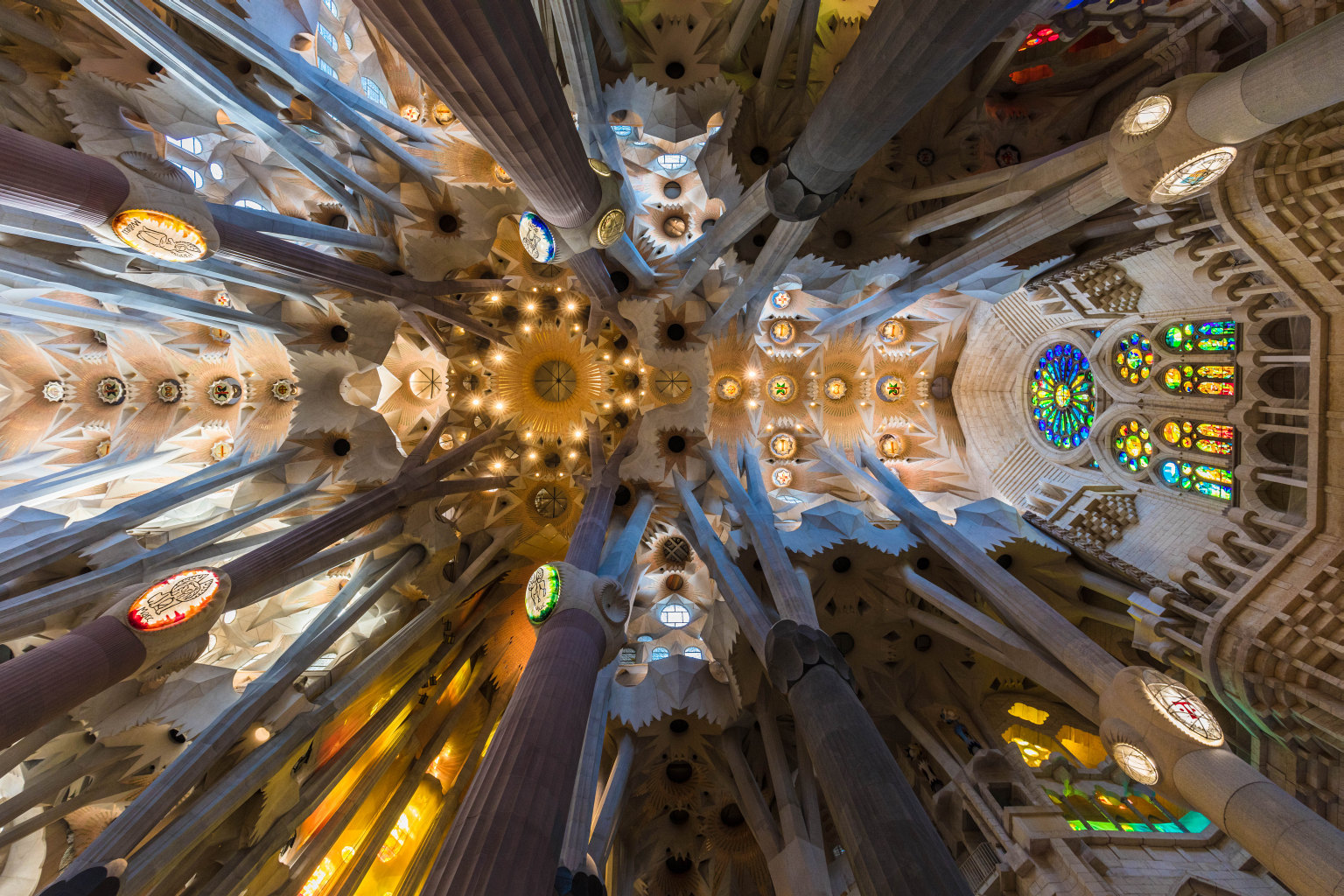 Sagrada Famlia Transept Ceiling