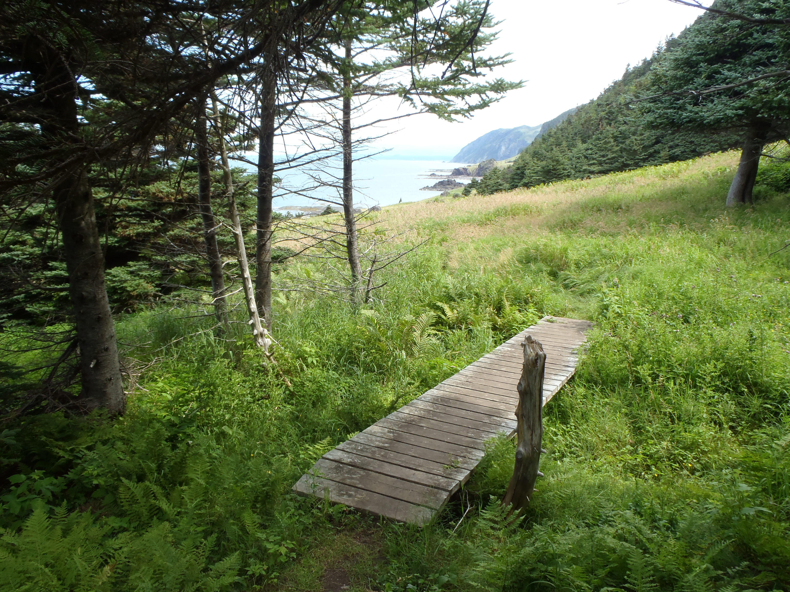 Piece of boardwalk