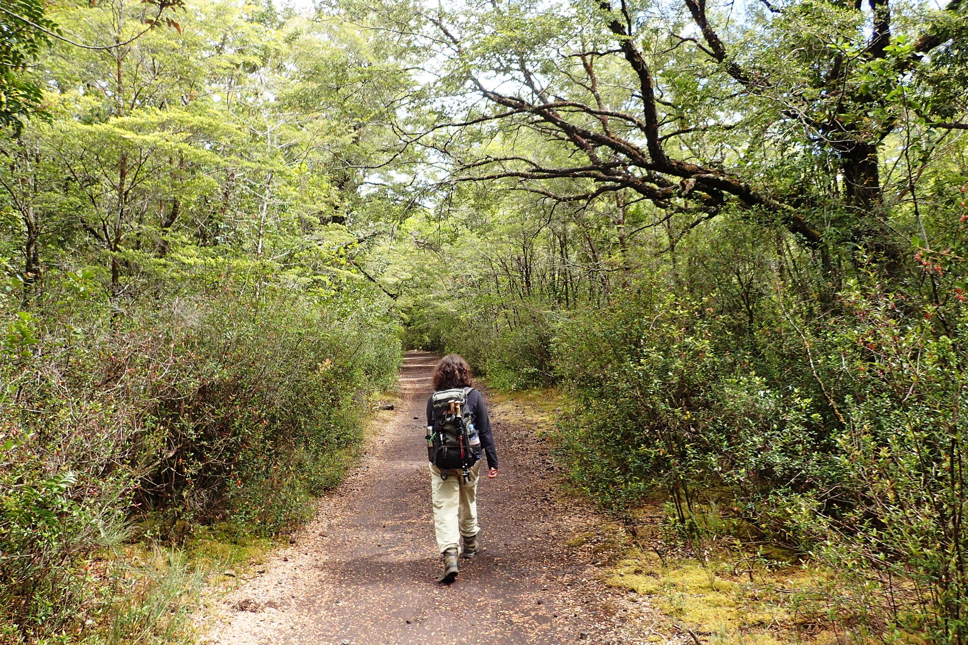 Start of trail