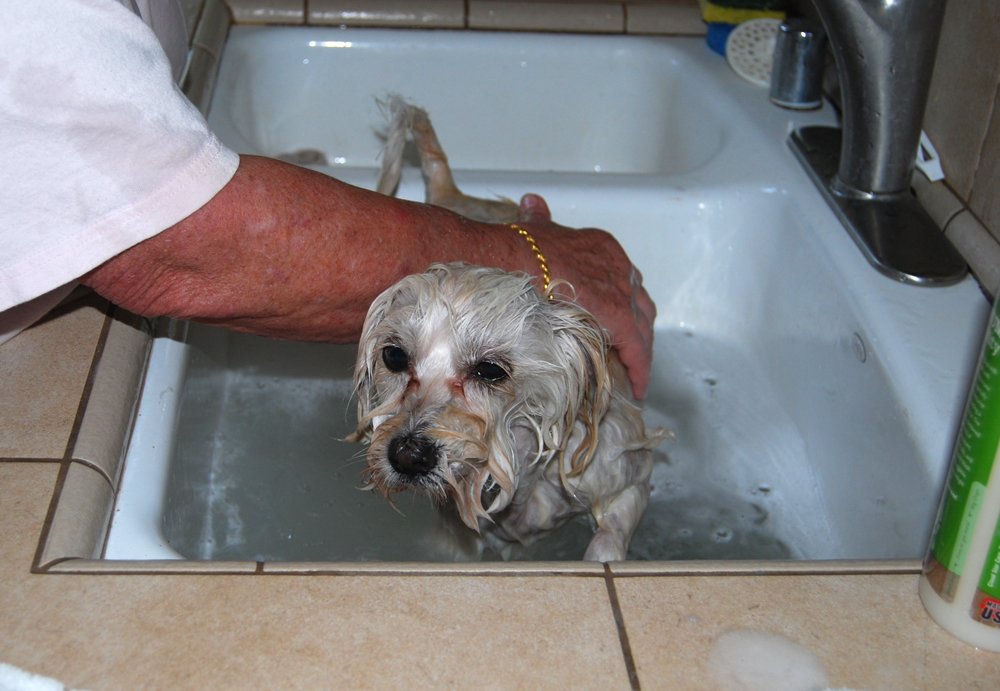 MuffysFirstBath