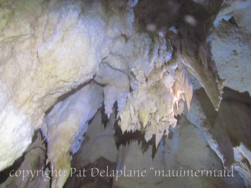 ChandelierStlagtiteInChandelierCave.jpg
