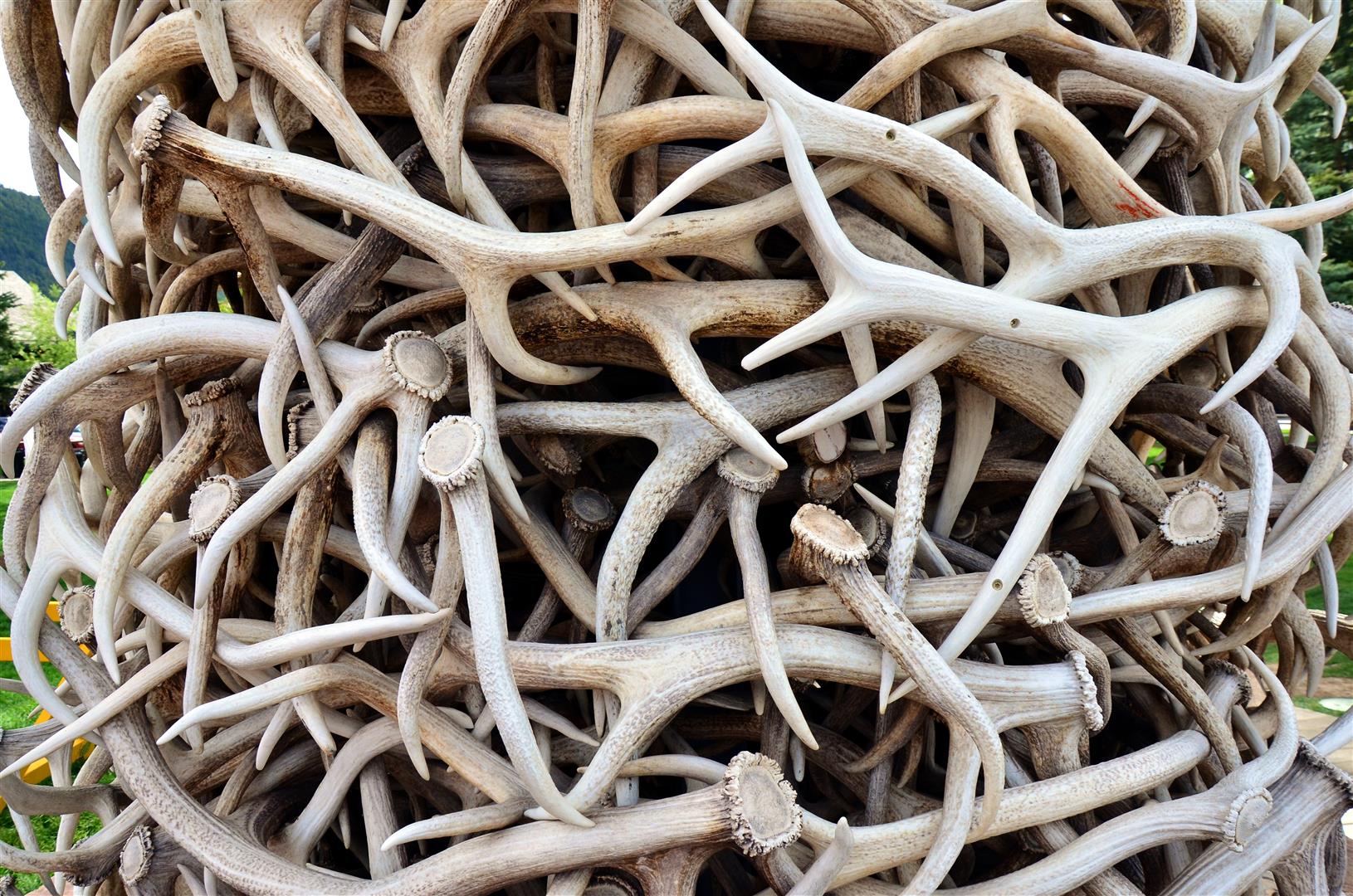 PAP_6748.JPG