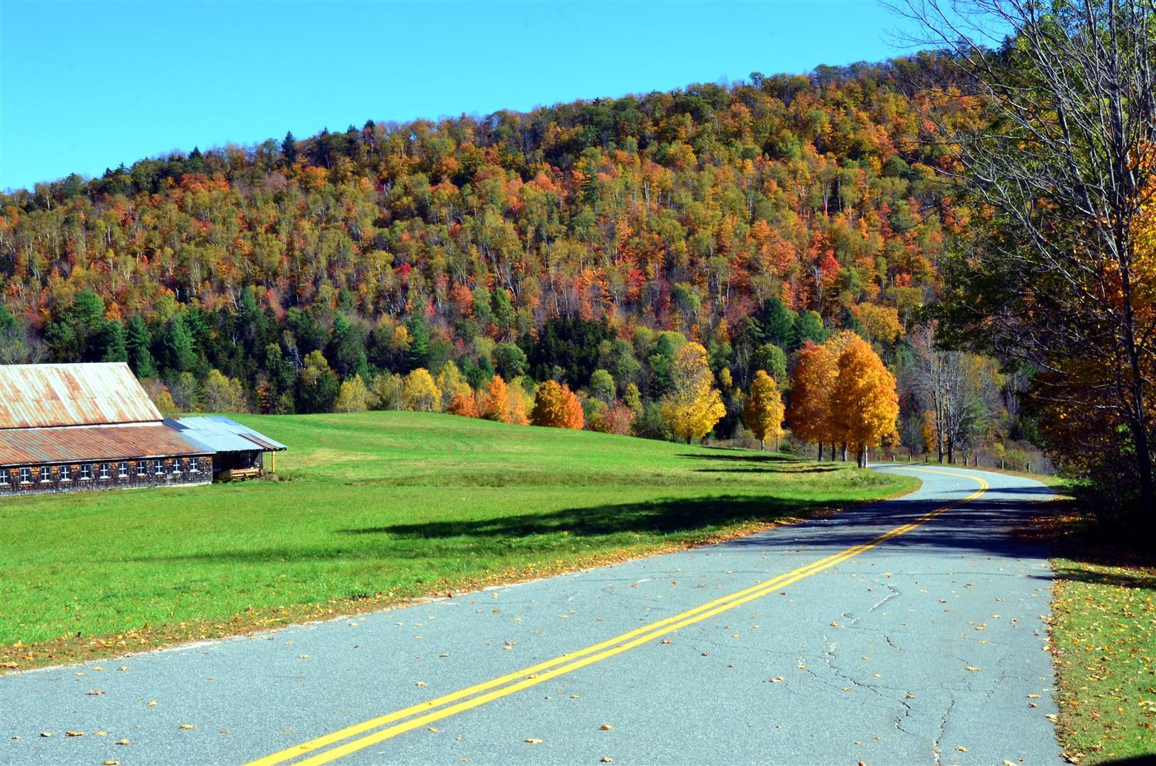 Fall color near Plymouth Notch, VT