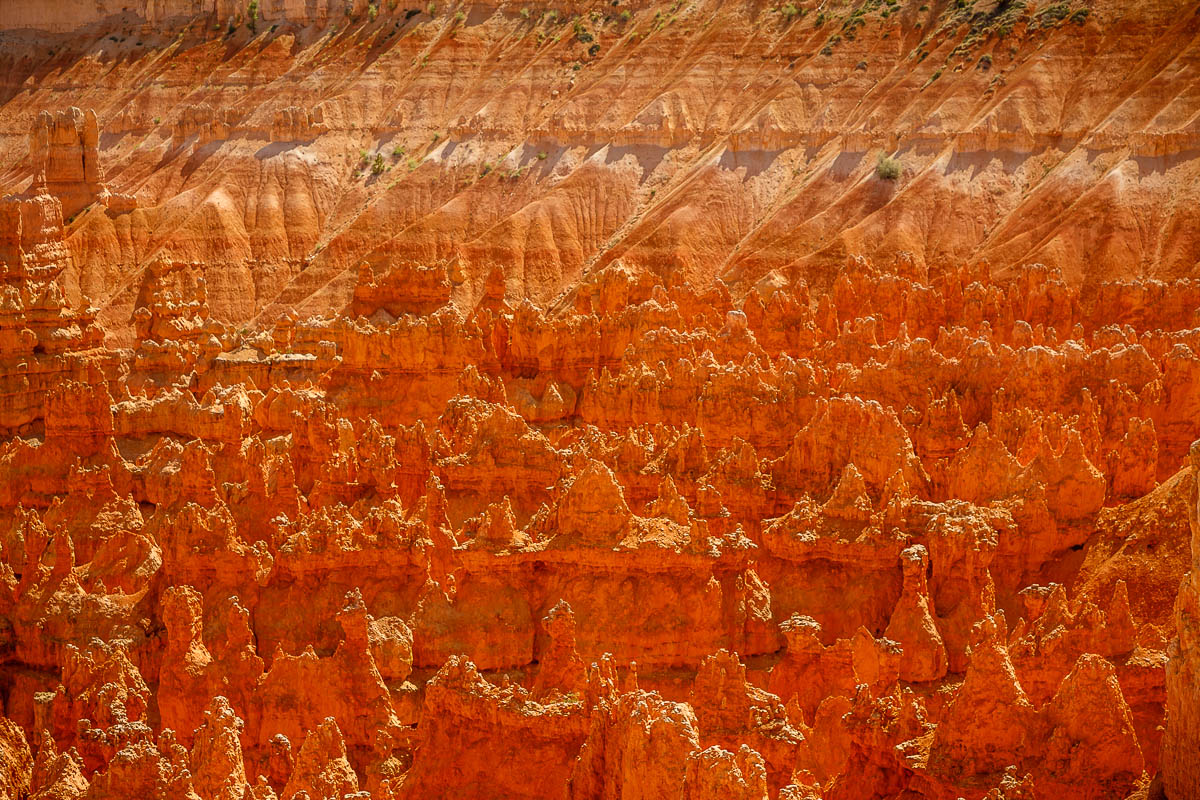 _MG_8265.JPG