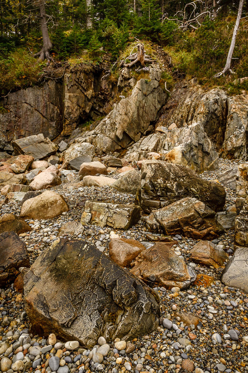 _MG_3908.JPG