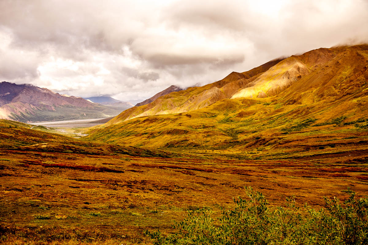 _MG_0809.JPG