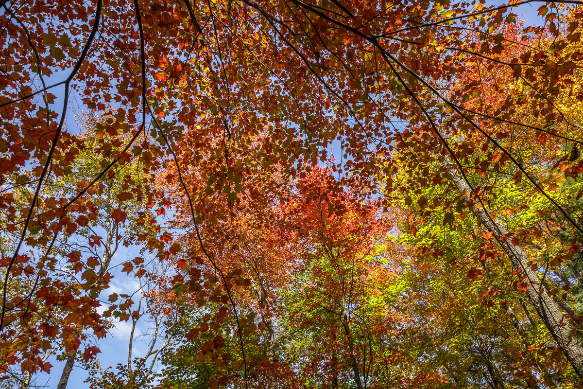 _MG_3262.JPG
