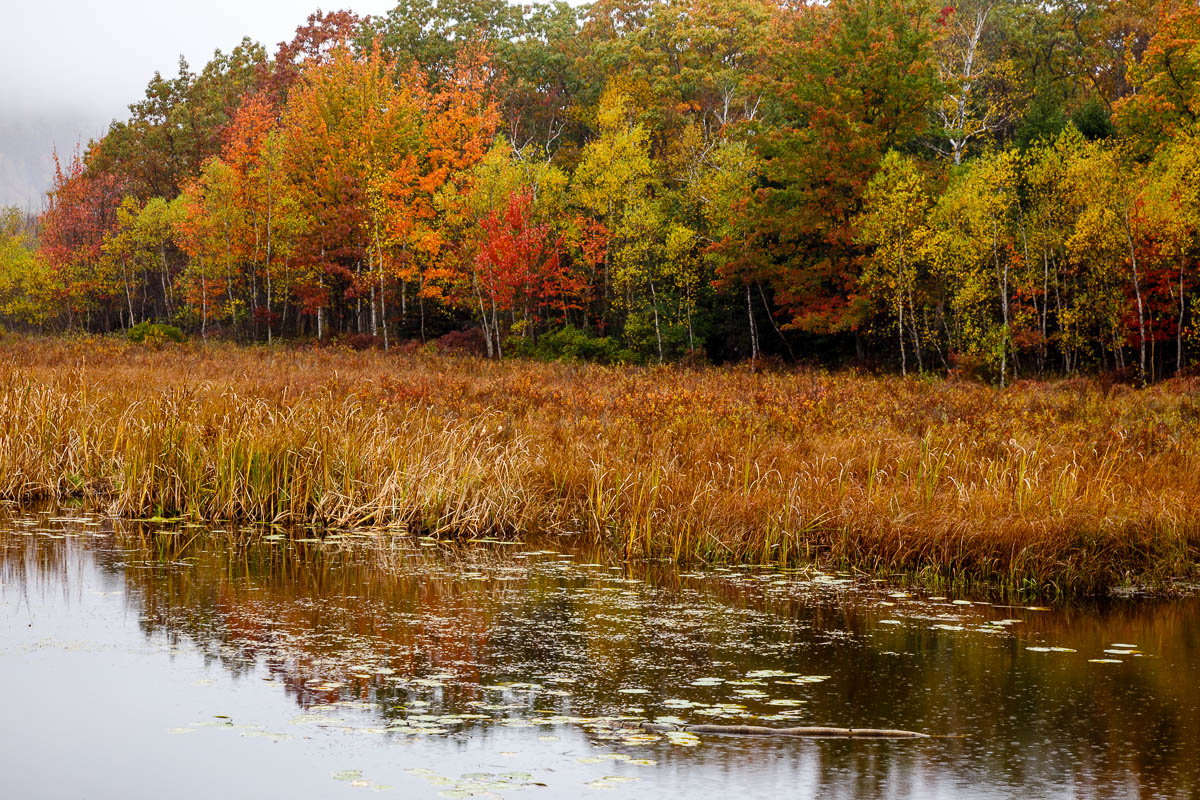 _MG_3656.JPG