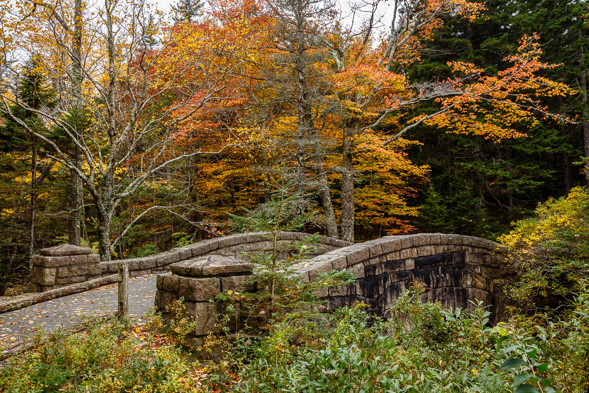 _MG_3781.JPG