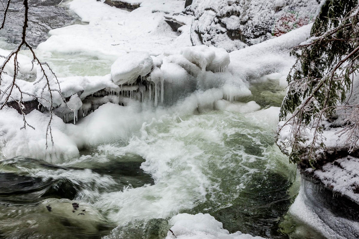 _MG_4422.JPG