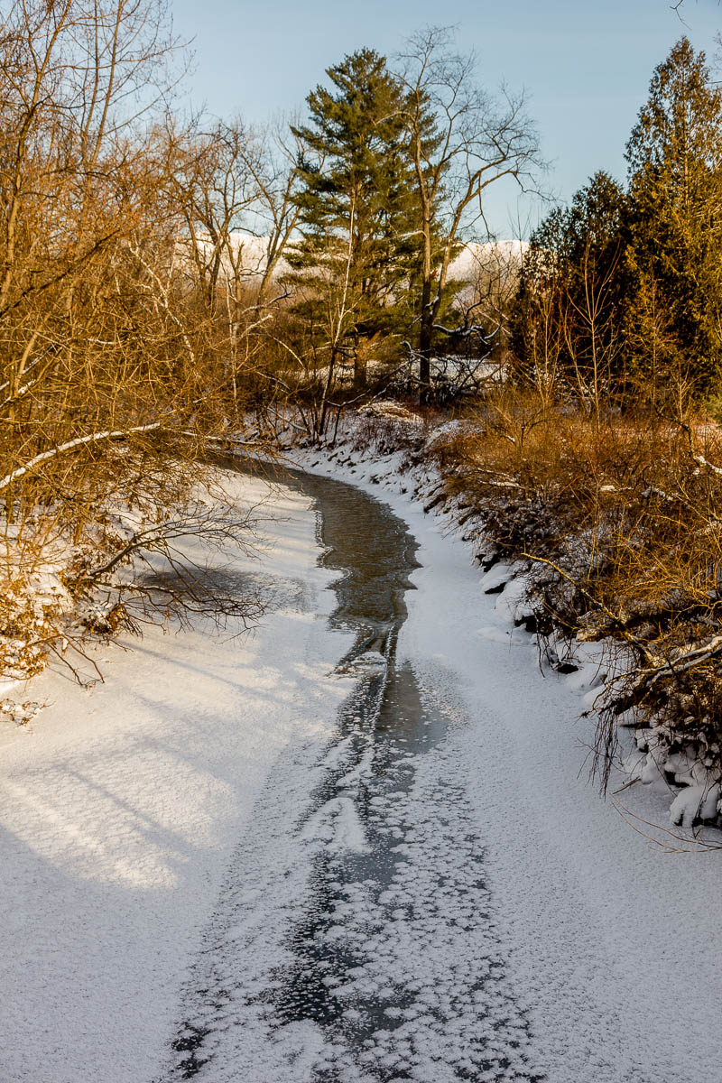 _MG_4512.JPG