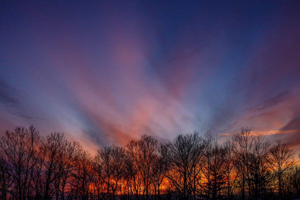 _MG_4523.JPG