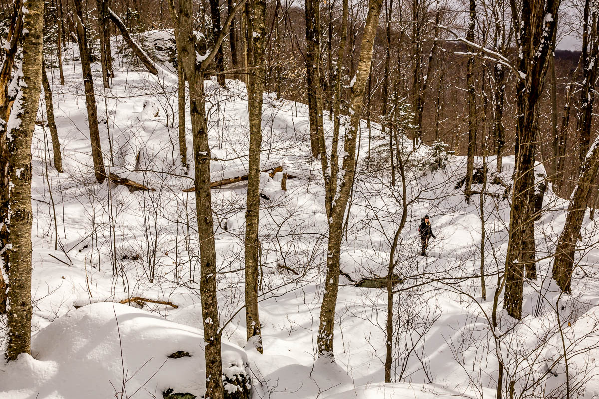 _MG_4576.JPG