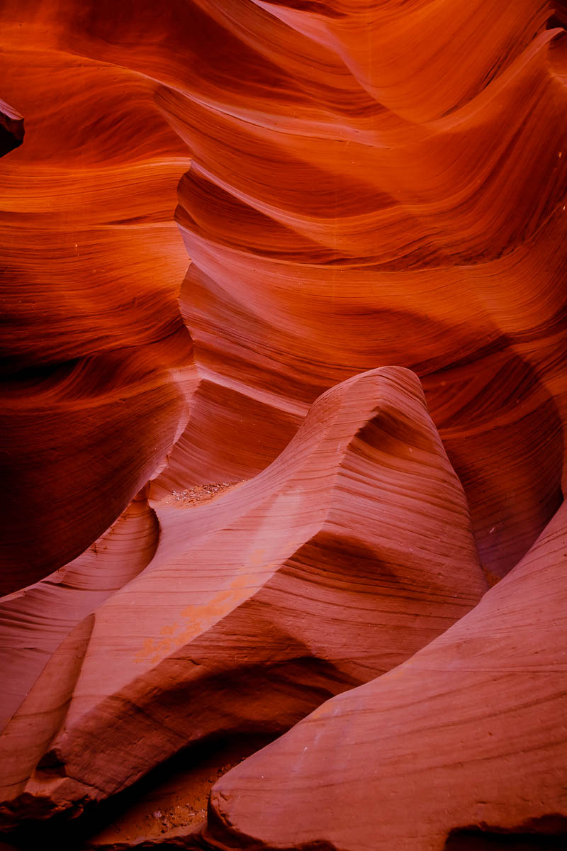 _MG_6994.JPG