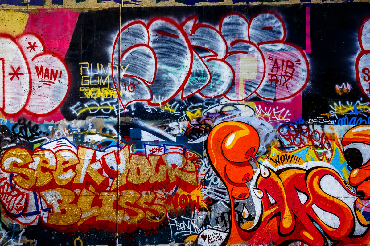 _MG_5856.JPG