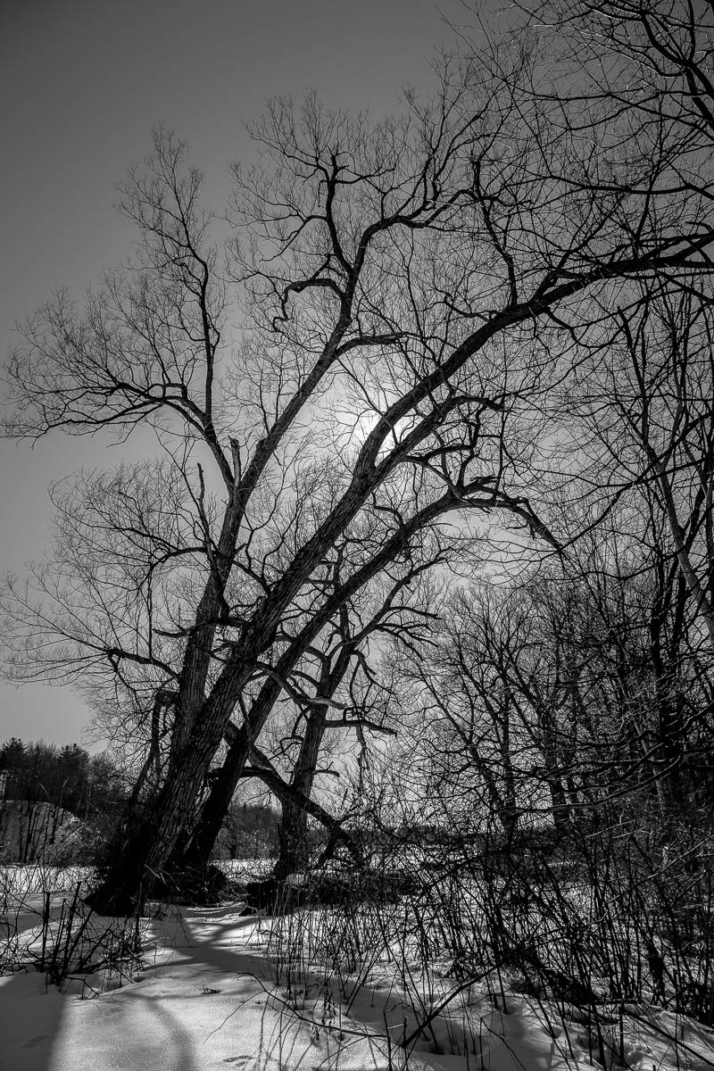 _MG_6324.JPG