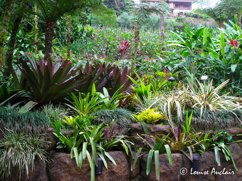 Jardin La Paz